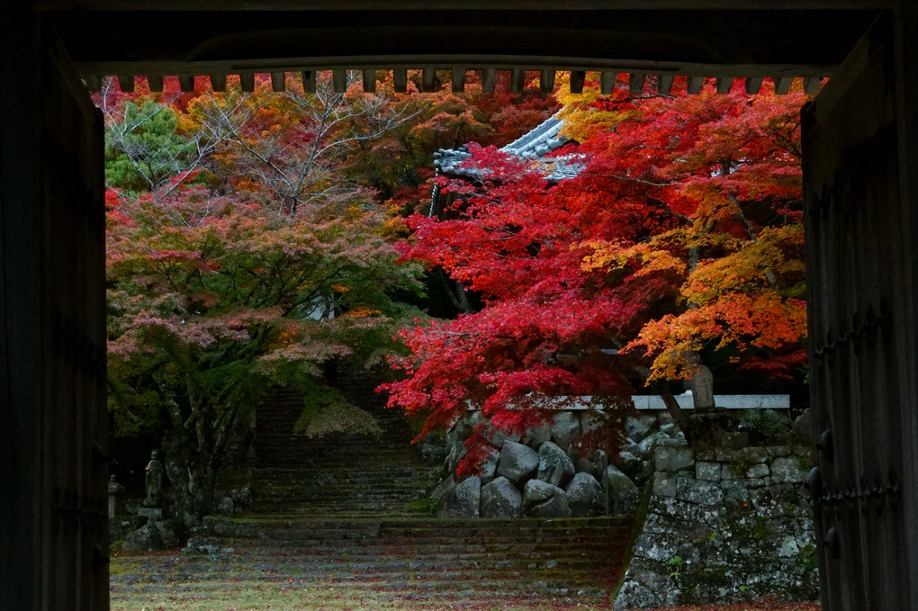 東光寺の秋