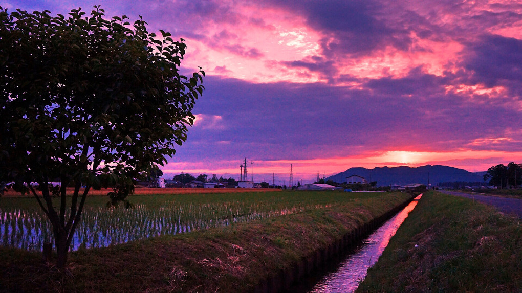 情緒的に染まる夕空と圃場の水路