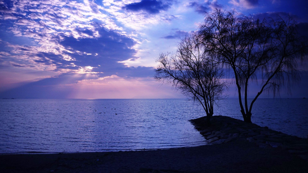 北琵琶湖岸の冬の夕景