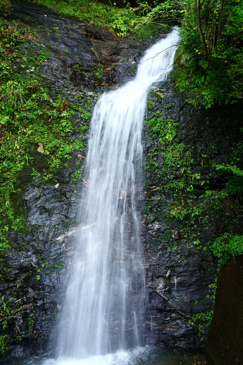 萌芽の滝