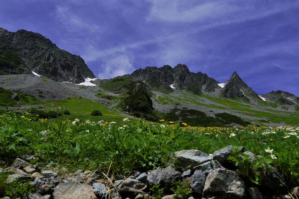 夏山の輝き