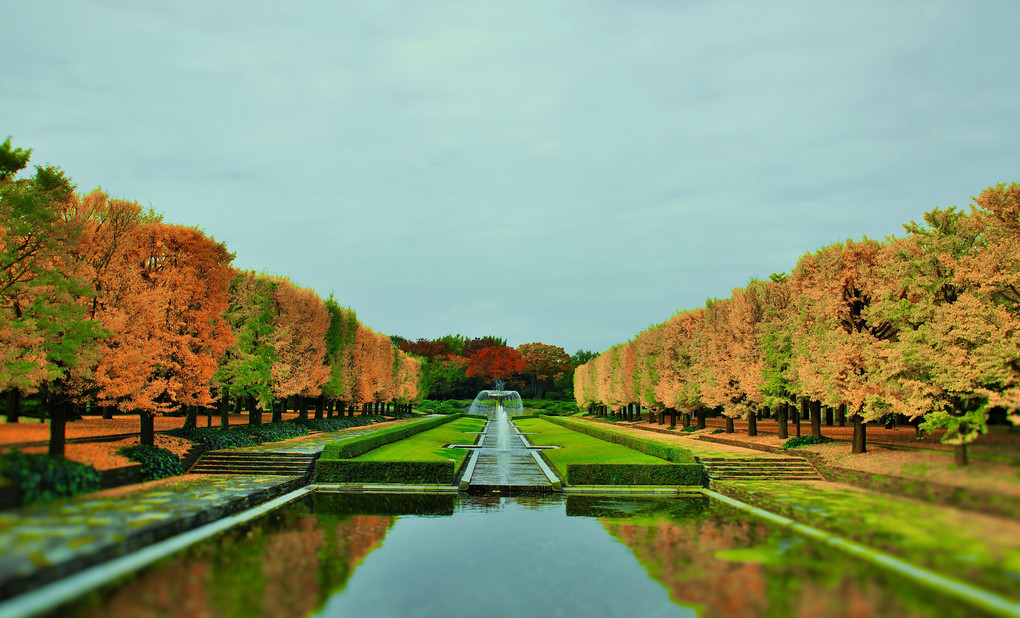 昭和記念公園【カナール】