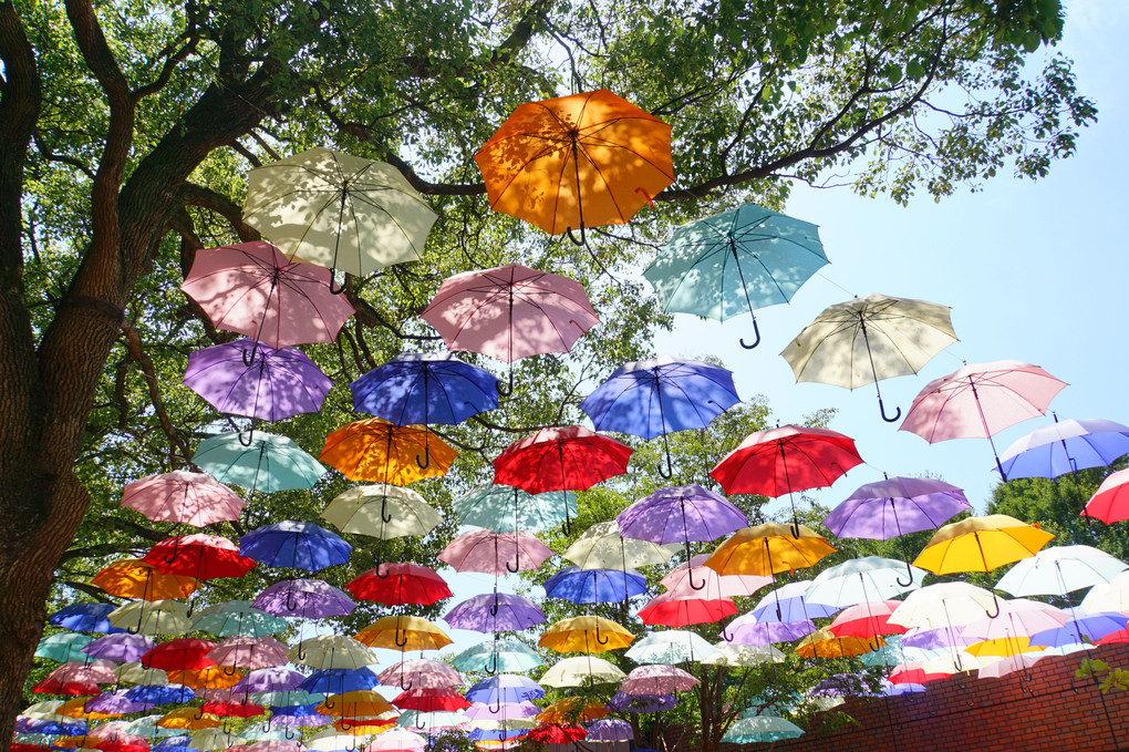 真夏の日の傘