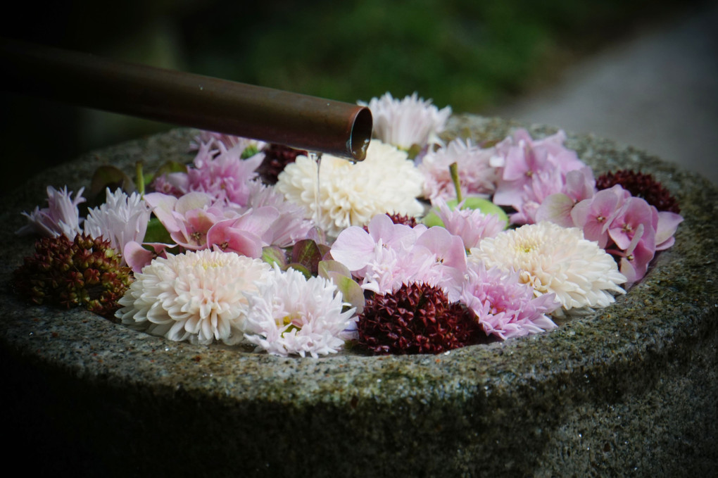 行田八幡宮