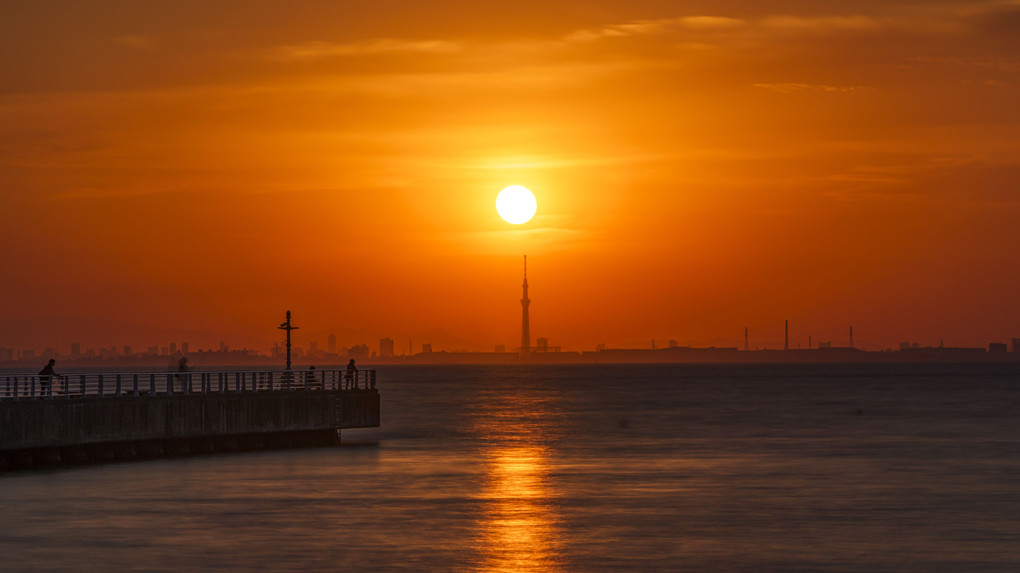 夕日の東京湾