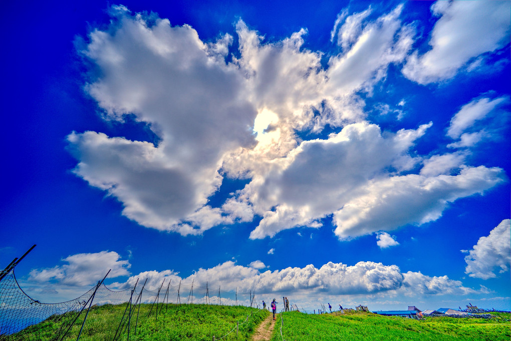 ✨夏の空✨