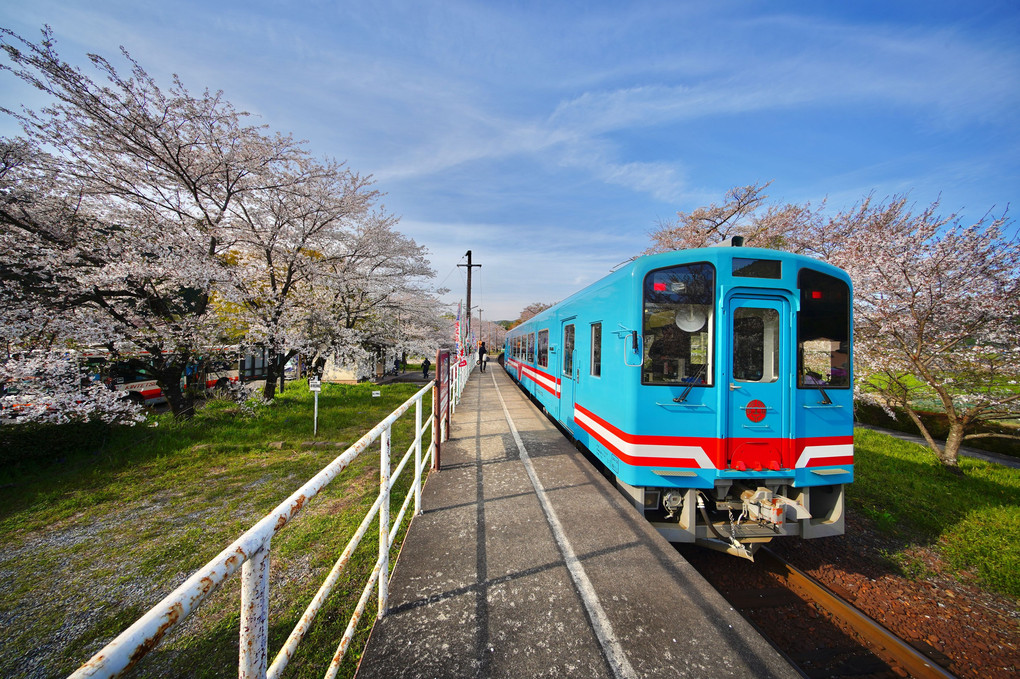 ✨瞬間移動の旅🌸