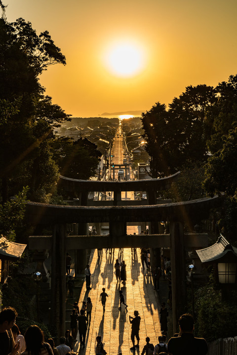 宮地嶽神社　光の道