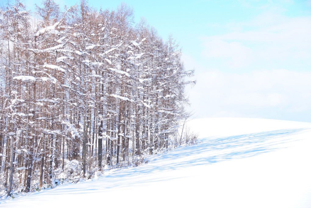 snowscape from biei