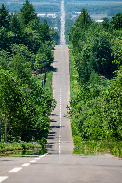 新緑眩しい北海道