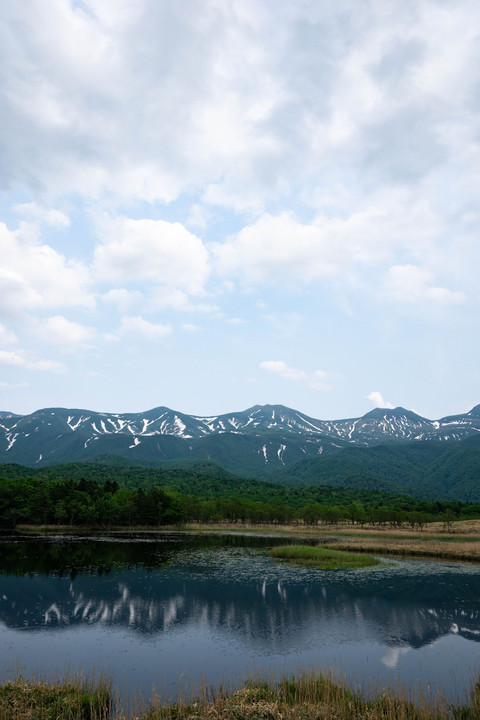 新緑眩しい北海道