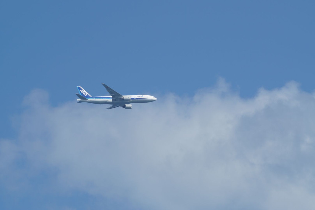 飛行機in能古島
