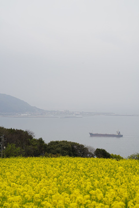 のこの島のこの思い出