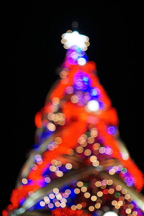 Christmas Tree[USJ]