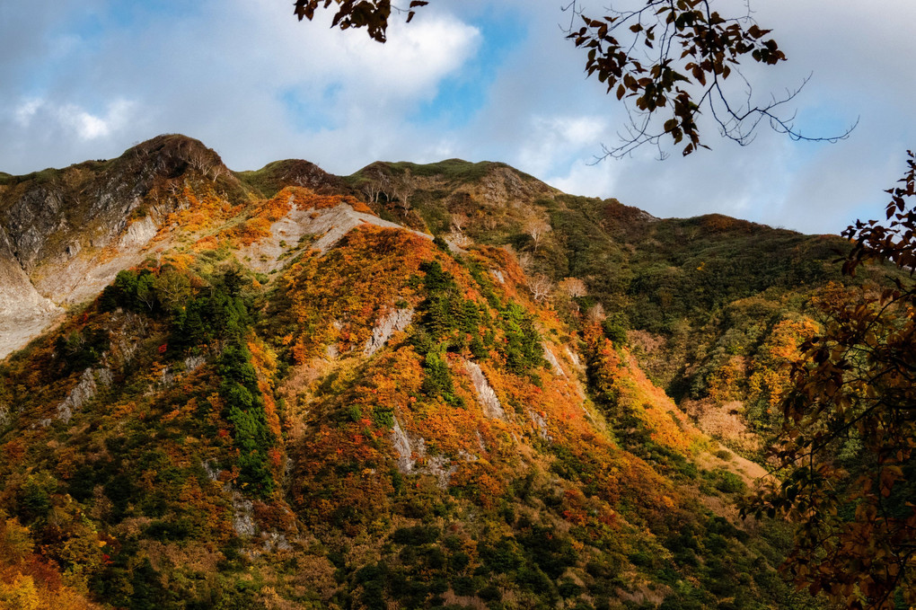 Mt.amakazari × Autumn