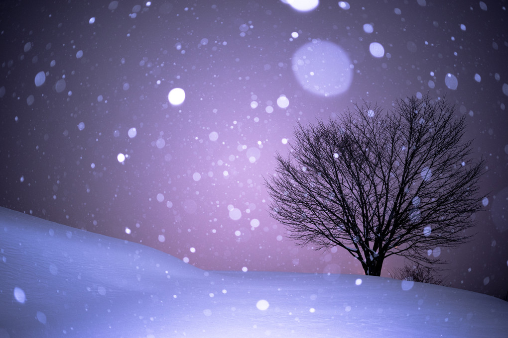 snow　×　night