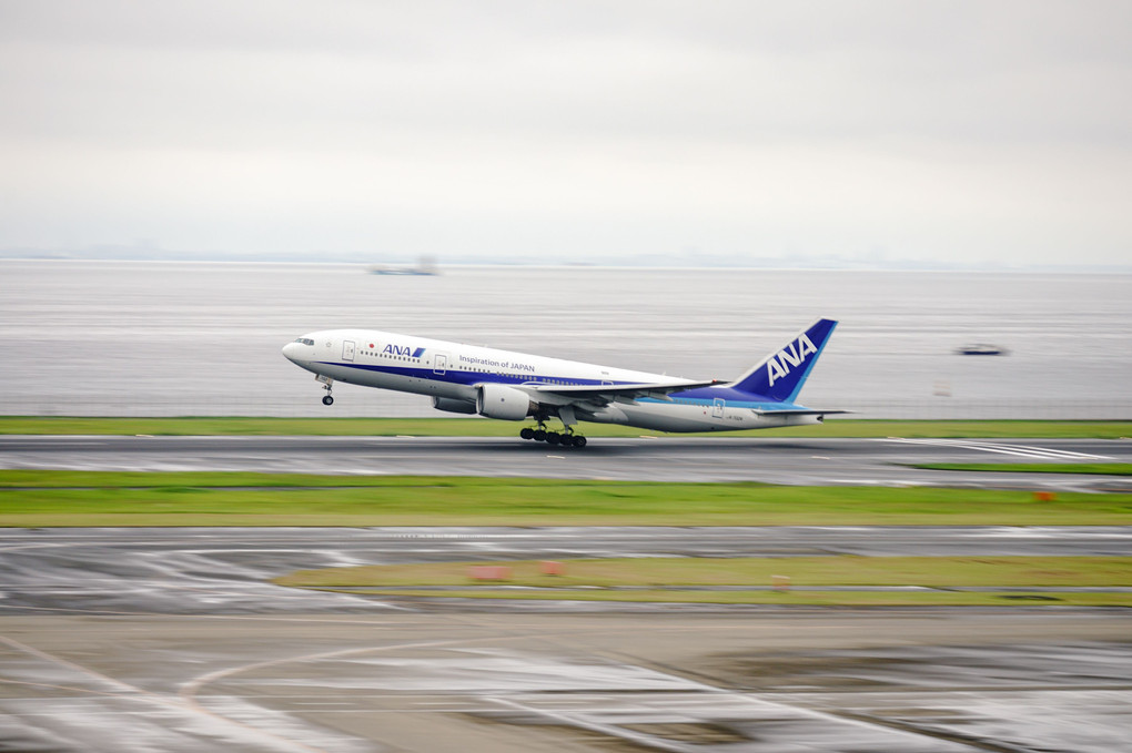 初！流し撮り ✈️