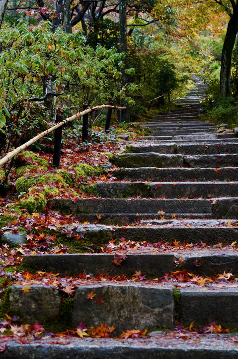 色鮮やかに雨上がり