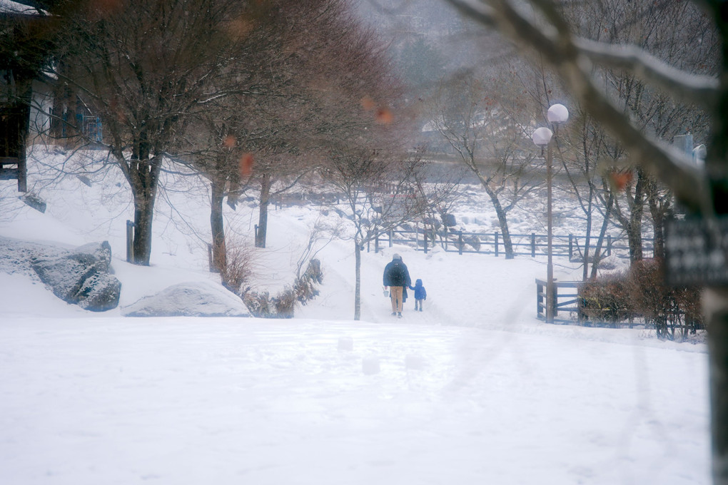 雪に霞む　駒ヶ根高原