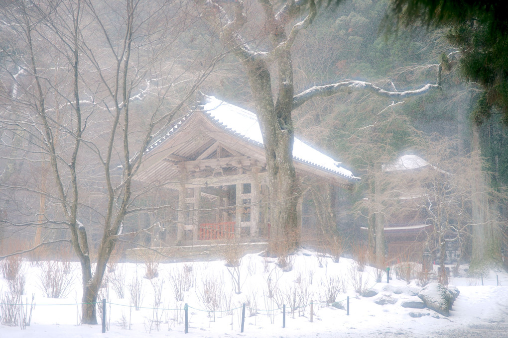 雪の信州光善寺　山門・鐘・五重塔