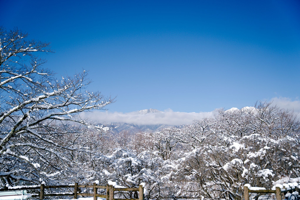 雪の信州中川村