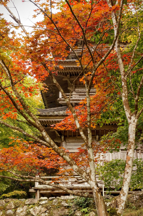 高源寺の多宝塔