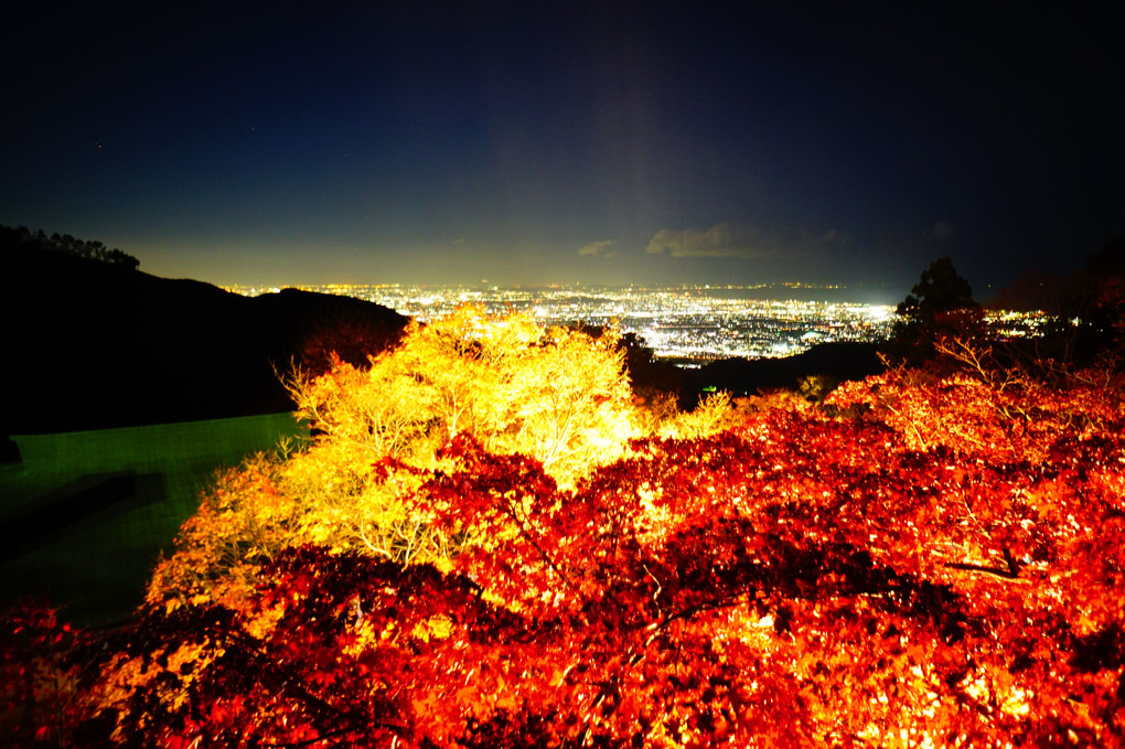 神社と紅葉と夜景