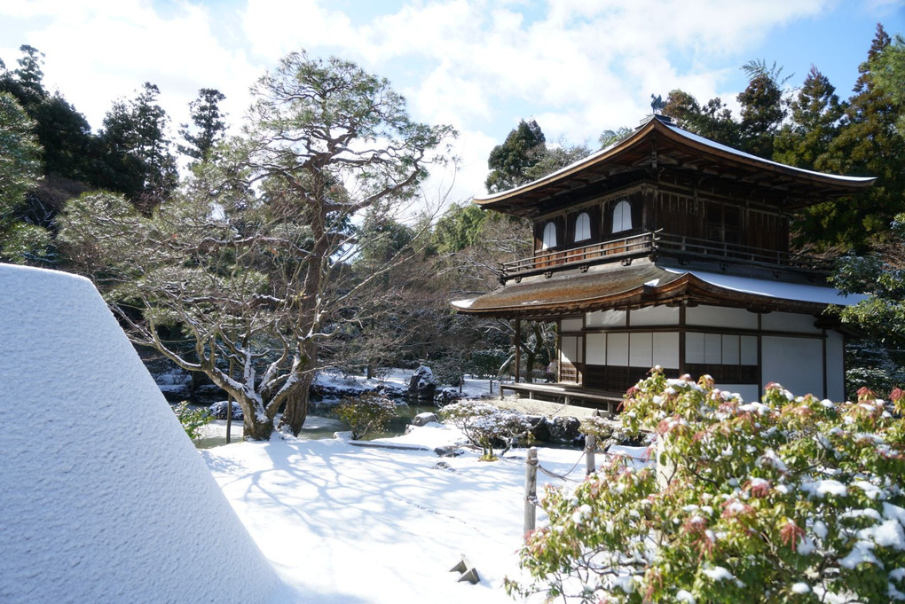 雪の京都散歩
