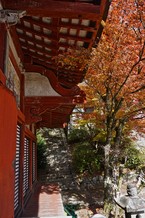 錦の室生寺