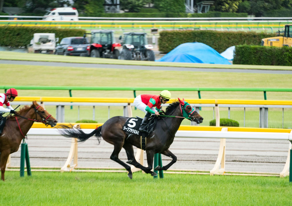 @神奈川　HELさんと行く東京競馬場