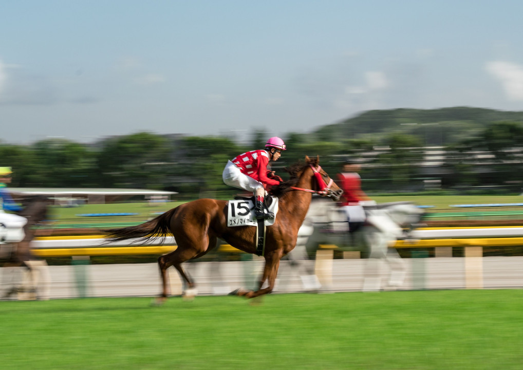 @神奈川　HELさんと行く東京競馬場