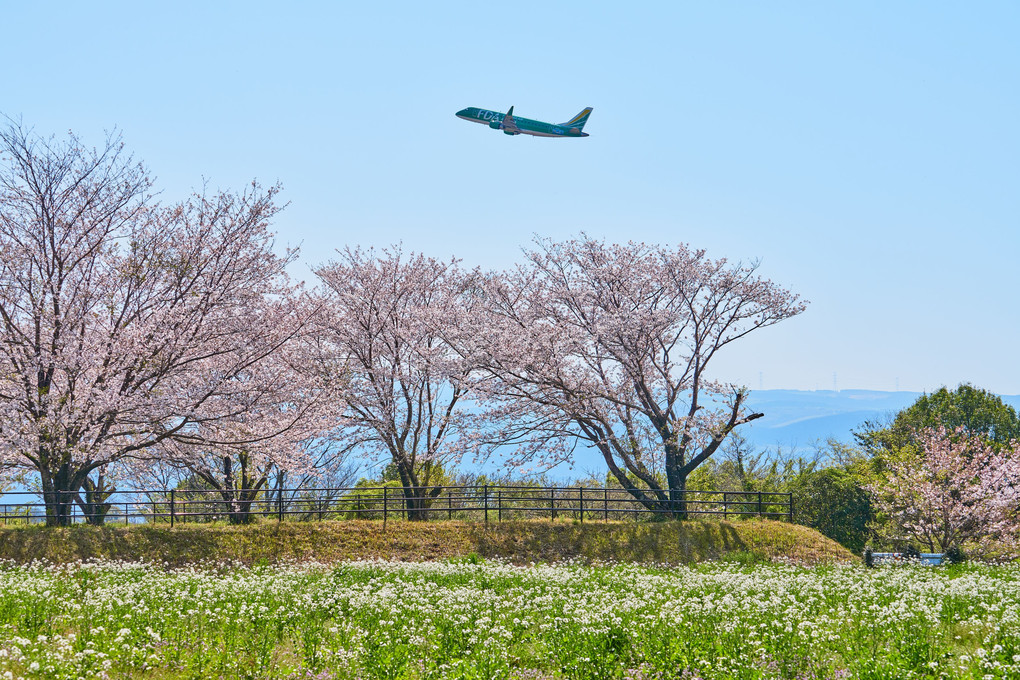 春・飛翔