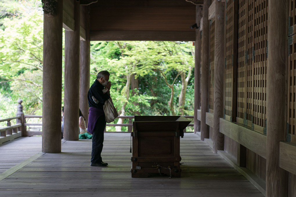 新緑の鎌倉妙本寺