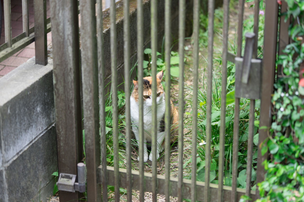 鎌倉動物園