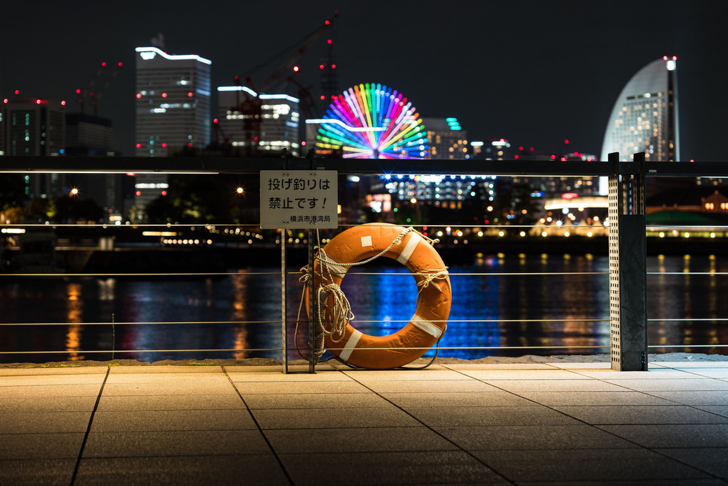 寂しがり屋の夜