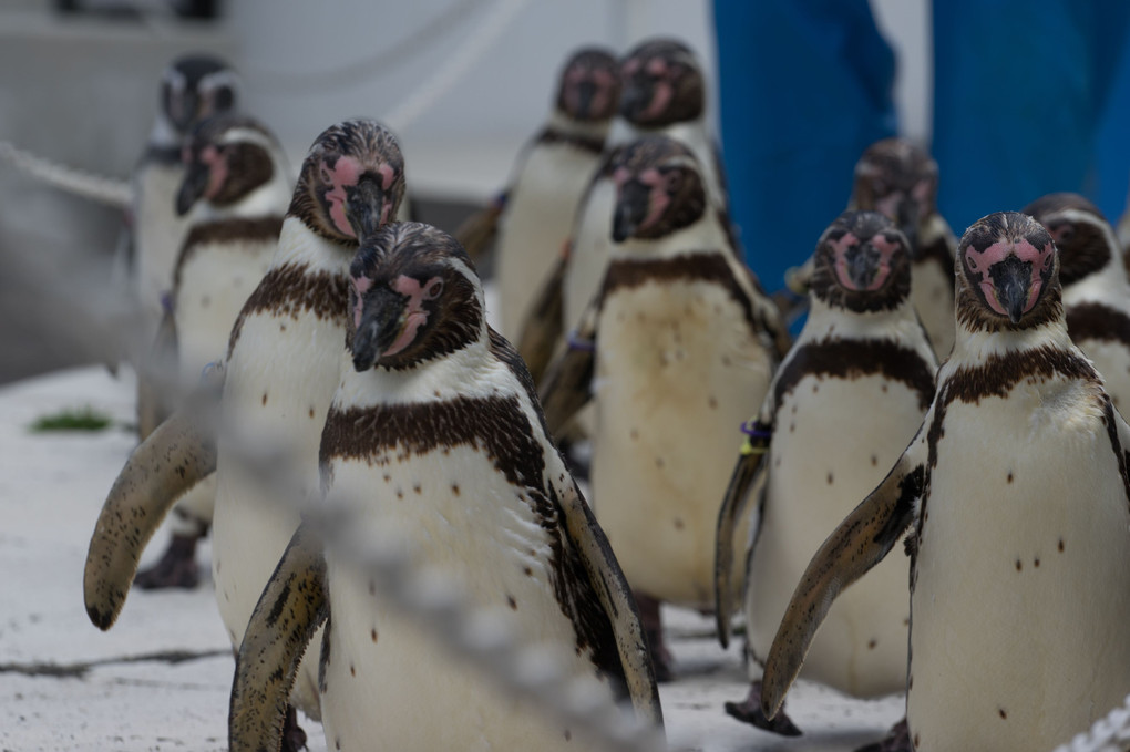 水族館！