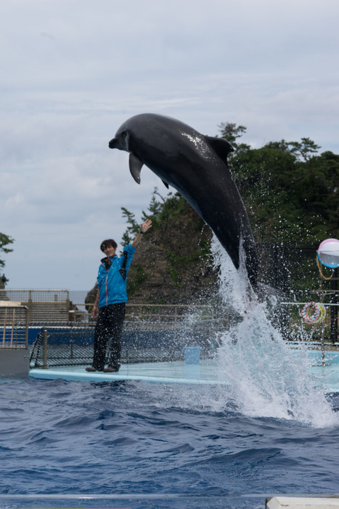 水族館！