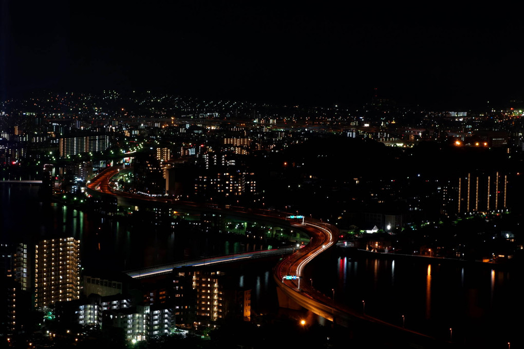 福岡タワー夜景 5