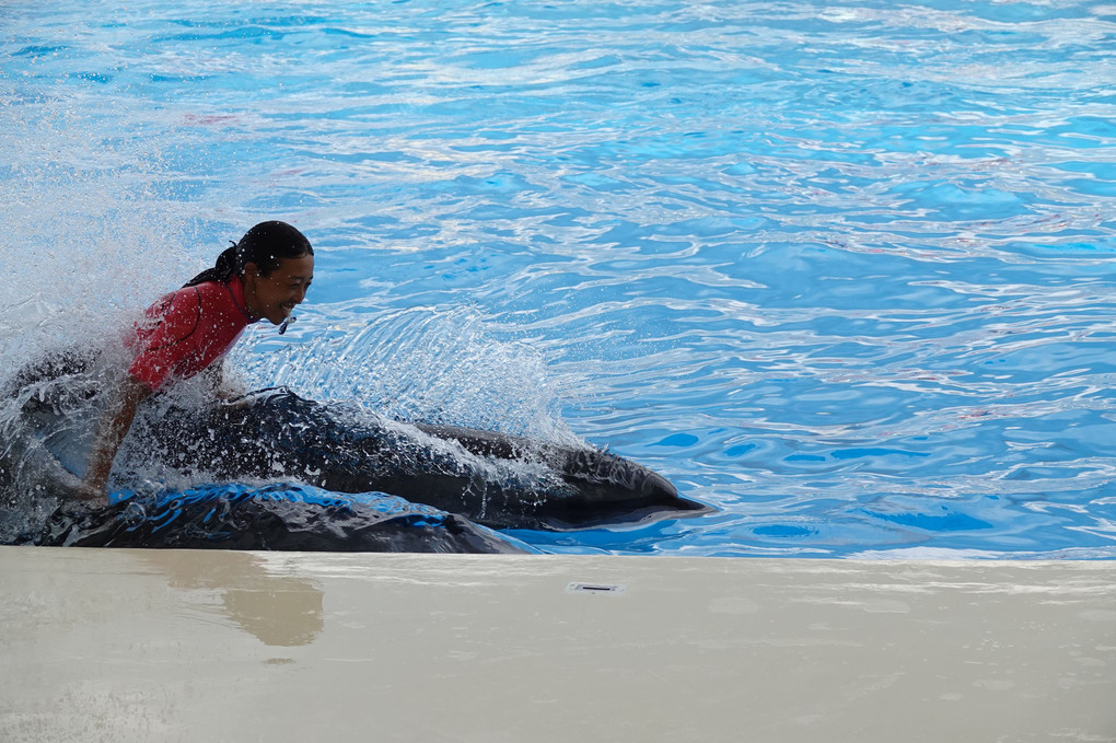 2019　マリンワールド　夜の水族館➀