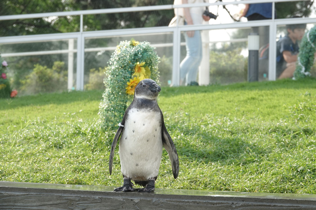 2019　マリンワールド　夜の水族館⑦