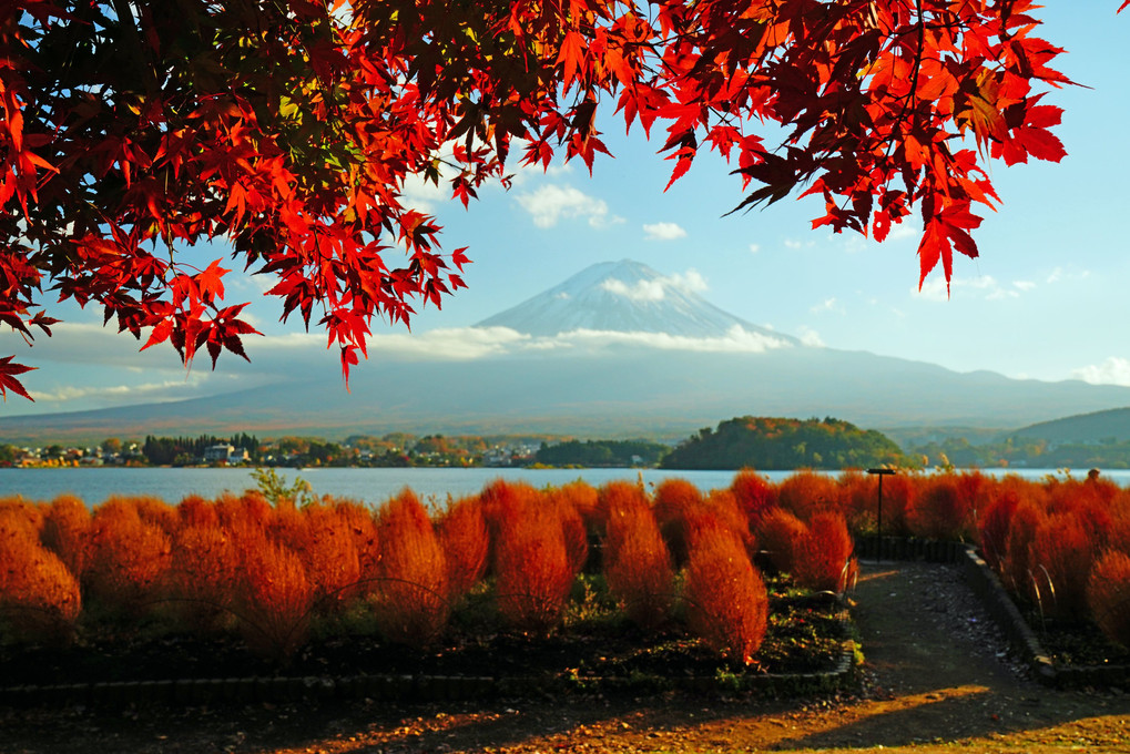 秋色の　河口湖畔　富士愛でる 🍁