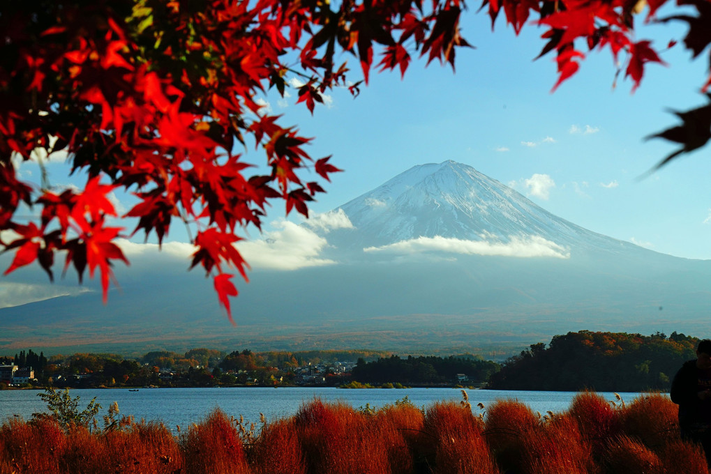 秋色の　河口湖畔　富士愛でる 🍁