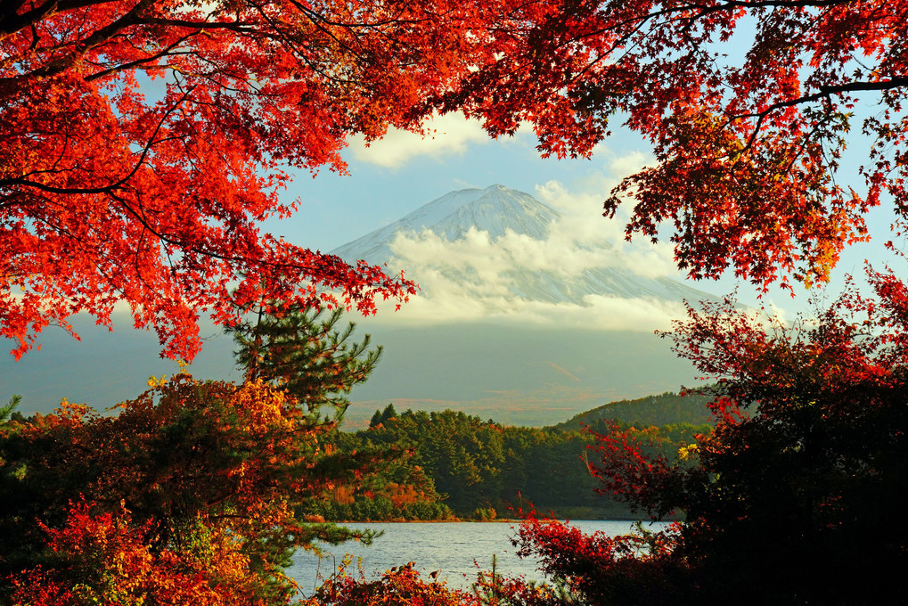 紅葉の　河口湖畔　富士愛でる 🍁