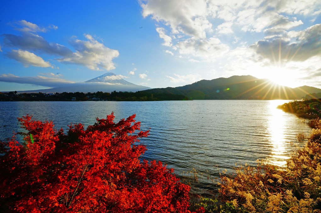 午後の陽に　映える紅葉と　富士を見る 🍁