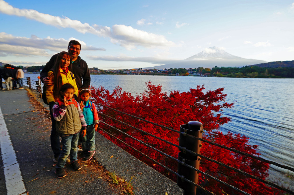 午後の陽に　映える紅葉と　富士を見る 🍁