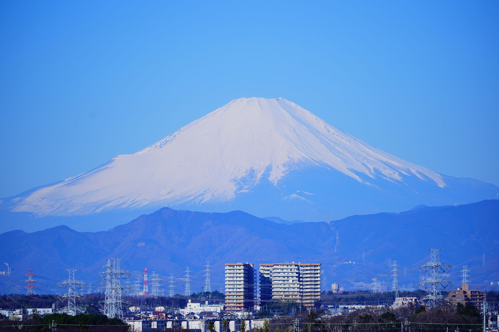 富士塚で　富岳を愛でる　古来より