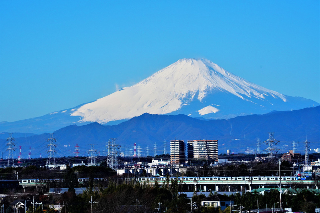 今朝の富士山　相鉄・いずみ野線の車両と共に ♬