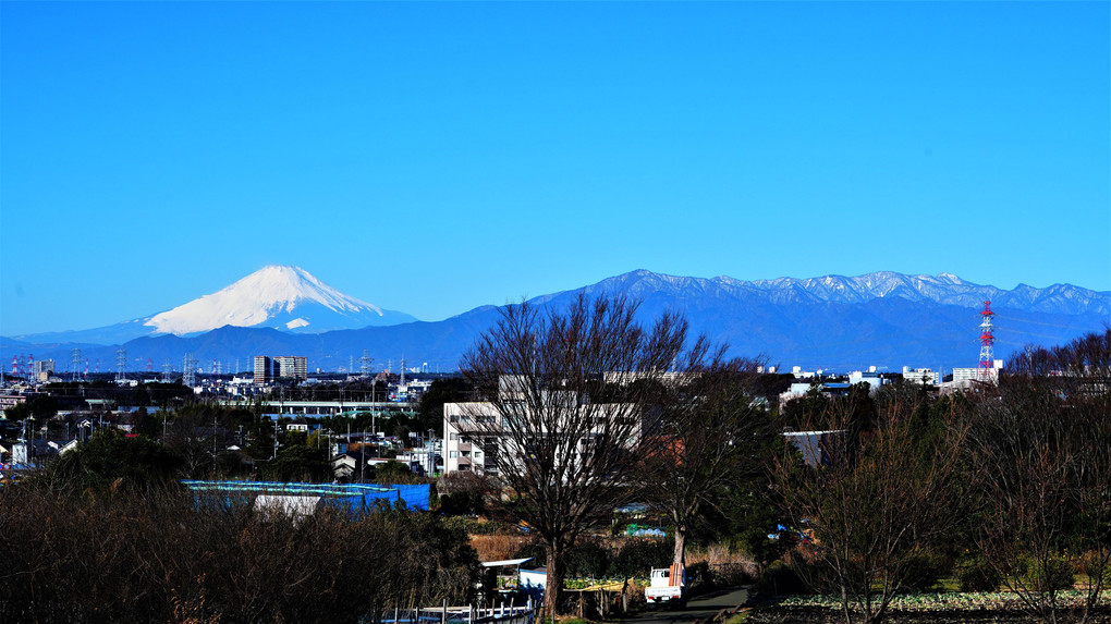 今朝の富士山　相鉄・いずみ野線の車両と共に ♬