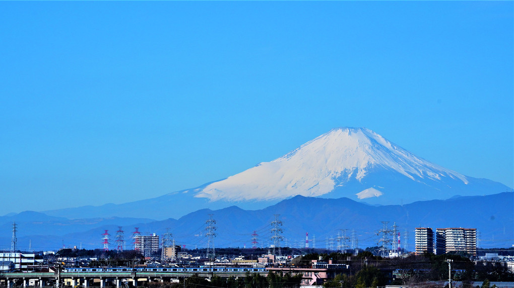先日の春一番で綺麗に眺められた富士山 ♬