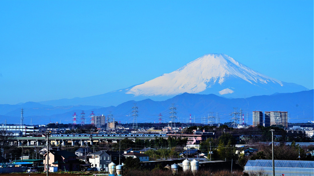 先日の春一番で綺麗に眺められた富士山 ♬